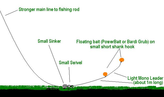 PowerBait Rig