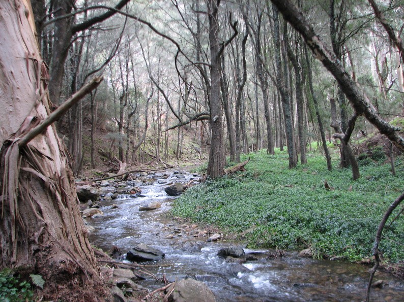 Jenolan River
