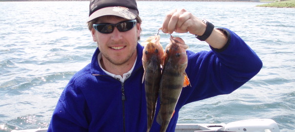 two redfin one lure